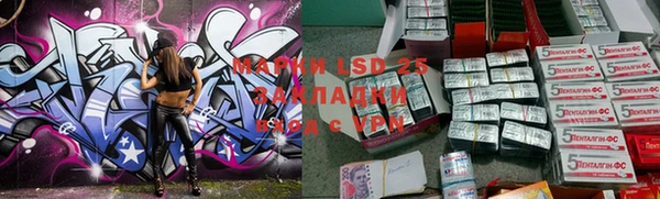 спайс Нея