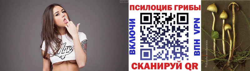Галлюциногенные грибы ЛСД  мега ссылки  Кедровый 