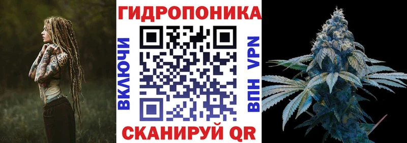 где продают   Кедровый  Каннабис Bruce Banner 
